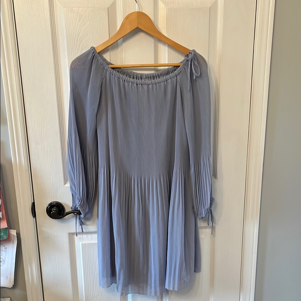 Light Blue Off-Shoulder Dress Aritzia  Wilfred Raisin size small